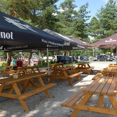 Holiday home Stribrny Rybnik-7 By Interhome
