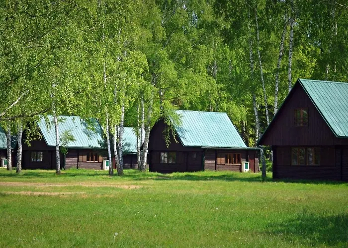 Stribrny Rybnik-7 By Interhome