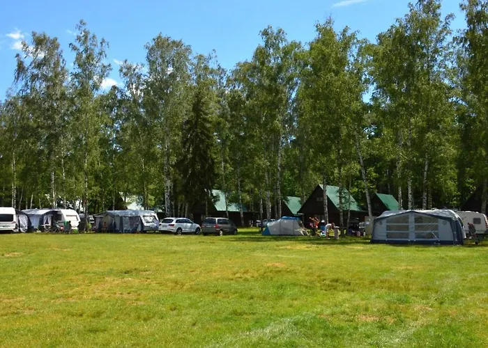 Hébergement de vacances Stribrny Rybnik-7 By Interhome *