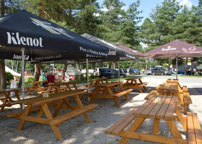 Hébergement de vacances Stribrny Rybnik-7 By Interhome