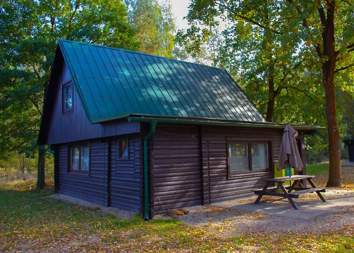 Stribrny Rybnik-7 By Interhome Hébergement de vacances Hradec Králové
